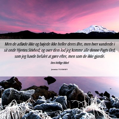Picture 06 - Jeremias 11:8 DA1871 - Men de adløde ikke og bøjede ikke heller deres - Bible Verse Picture