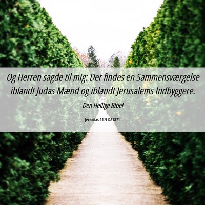 Picture 06 - Jeremias 11:9 DA1871 - Og Herren sagde til mig: Der findes en - Bible Verse Picture