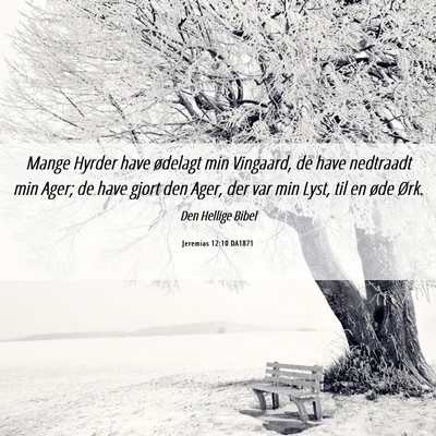 Picture 06 - Jeremias 12:10 DA1871 - Mange Hyrder have ødelagt min Vingaard, de have - Bible Verse Picture