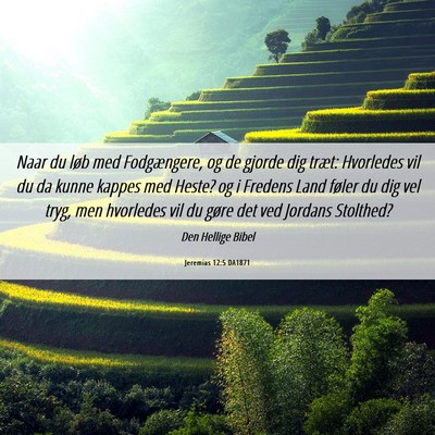Picture 06 - Jeremias 12:5 DA1871 - Naar du løb med Fodgængere, og de gjorde dig - Bible Verse Picture