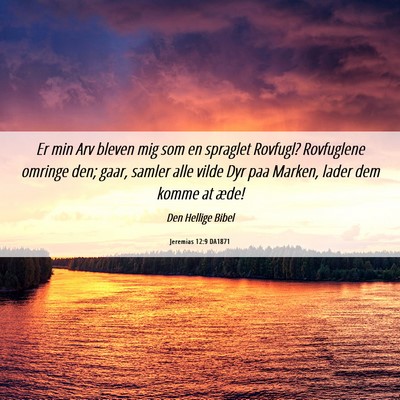Picture 06 - Jeremias 12:9 DA1871 - Er min Arv bleven mig som en spraglet Rovfugl? - Bible Verse Picture