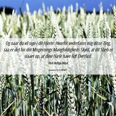 Picture 06 - Jeremias 13:22 DA1871 - Og naar du vil sige i dit Hjerte: Hvorfor - Bible Verse Picture