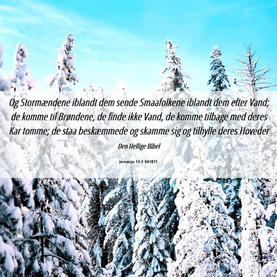 Picture 06 - Jeremias 14:3 DA1871 - Og Stormændene iblandt dem sende Smaafolkene - Bible Verse Picture