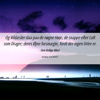 Picture 06 - Jeremias 14:6 DA1871 - Og Vildæsler staa paa de nøgne Høje, de snappe - Bible Verse Picture