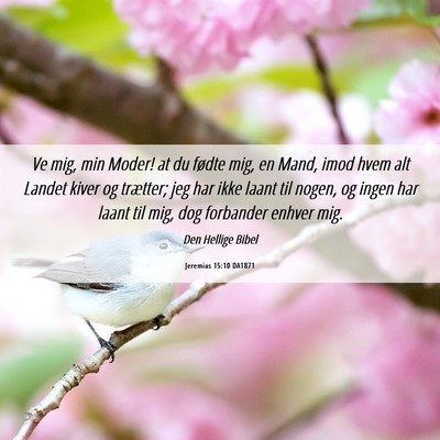 Picture 06 - Jeremias 15:10 DA1871 - Ve mig, min Moder! at du fødte mig, en Mand, - Bible Verse Picture