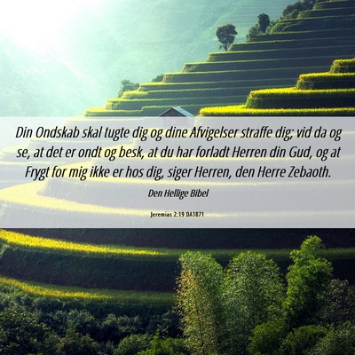 Picture 06 - Jeremias 2:19 DA1871 - Din Ondskab skal tugte dig og dine Afvigelser - Bible Verse Picture