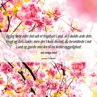 Picture 06 - Jeremias 2:7 DA1871 - Og jeg førte eder ind udi et frugtbart Land, at - Bible Verse Picture