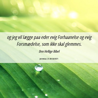 Picture 06 - Jeremias 23:40 DA1871 - og jeg vil lægge paa eder evig Forhaanelse og - Bible Verse Picture
