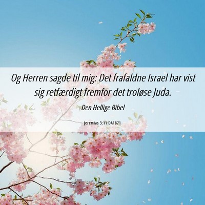 Picture 06 - Jeremias 3:11 DA1871 - Og Herren sagde til mig: Det frafaldne Israel har - Bible Verse Picture