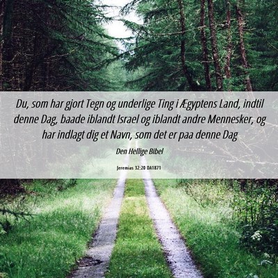 Picture 06 - Jeremias 32:20 DA1871 - Du, som har gjort Tegn og underlige Ting i - Bible Verse Picture