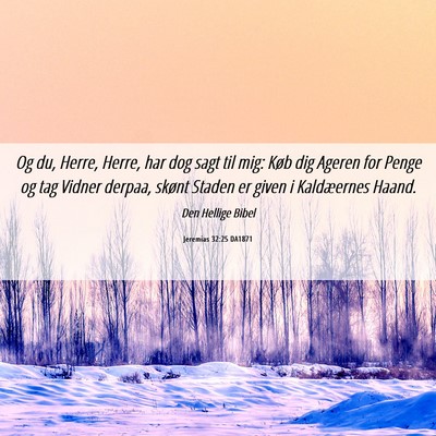 Picture 06 - Jeremias 32:25 DA1871 - Og du, Herre, Herre, har dog sagt til mig: Køb - Bible Verse Picture