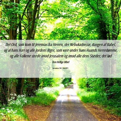 Picture 06 - Jeremias 34:1 DA1871 - Det Ord, som kom til Jeremias fra Herren, der - Bible Verse Picture
