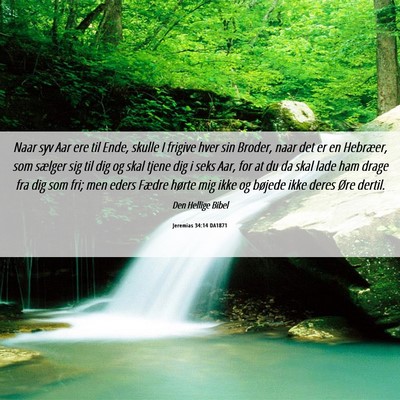 Picture 06 - Jeremias 34:14 DA1871 - Naar syv Aar ere til Ende, skulle I frigive hver - Bible Verse Picture
