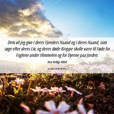 Picture 06 - Jeremias 34:20 DA1871 - Dem vil jeg give i deres Fjenders Haand og i - Bible Verse Picture
