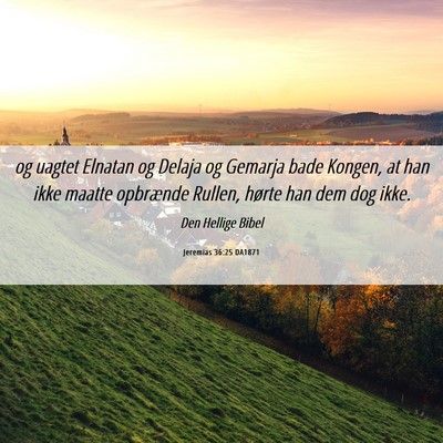 Picture 06 - Jeremias 36:25 DA1871 - og uagtet Elnatan og Delaja og Gemarja bade - Bible Verse Picture