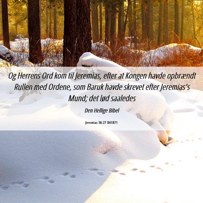 Picture 06 - Jeremias 36:27 DA1871 - Og Herrens Ord kom til Jeremias, efter at Kongen - Bible Verse Picture