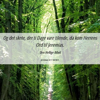 Picture 06 - Jeremias 42:7 DA1871 - Og det skete, der ti Dage vare tilende, da kom - Bible Verse Picture