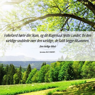 Picture 06 - Jeremias 46:12 DA1871 - Folkefærd hørte din Skam, og dit Klagemaal - Bible Verse Picture