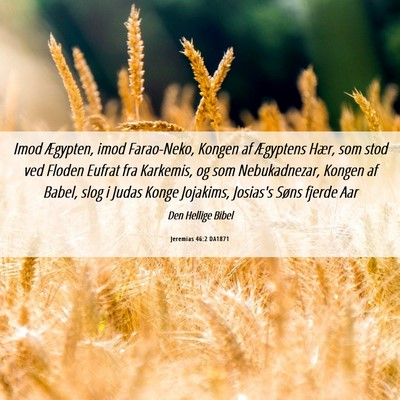 Picture 06 - Jeremias 46:2 DA1871 - Imod Ægypten, imod Farao-Neko, Kongen af - Bible Verse Picture