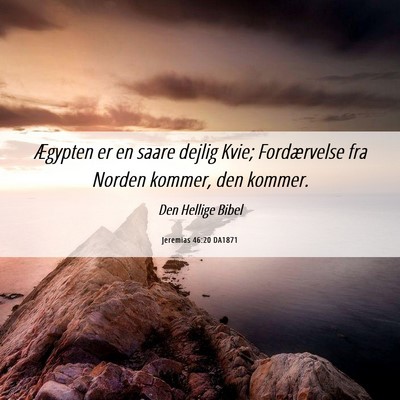 Picture 06 - Jeremias 46:20 DA1871 - Ægypten er en saare dejlig Kvie; Fordærvelse - Bible Verse Picture