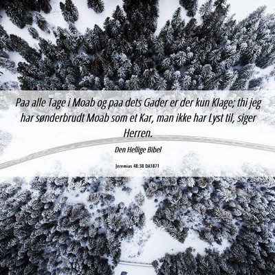 Picture 06 - Jeremias 48:38 DA1871 - Paa alle Tage i Moab og paa dets Gader er der kun - Bible Verse Picture