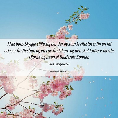 Picture 06 - Jeremias 48:45 DA1871 - I Hesbons Skygge stille sig de, der fly som - Bible Verse Picture