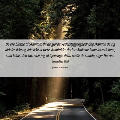 Picture 06 - Jeremias 6:15 DA1871 - De ere blevne til Skamme; thi de gjorde - Bible Verse Picture