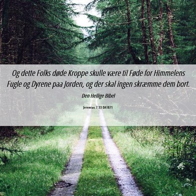 Picture 06 - Jeremias 7:33 DA1871 - Og dette Folks døde Kroppe skulle være til - Bible Verse Picture