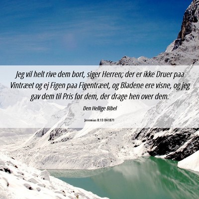 Picture 06 - Jeremias 8:13 DA1871 - Jeg vil helt rive dem bort, siger Herren; der er - Bible Verse Picture