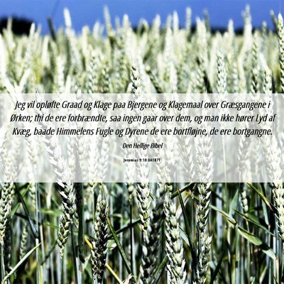 Picture 06 - Jeremias 9:10 DA1871 - Jeg vil opløfte Graad og Klage paa Bjergene og - Bible Verse Picture