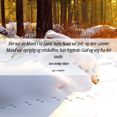 Picture 06 - Job 1:1 DA1871 - Der var en Mand i Uz Land, hans Navn var Job; og - Bible Verse Picture