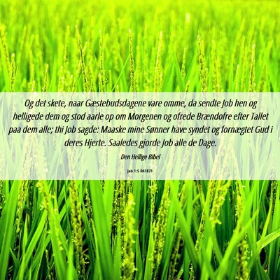 Picture 06 - Job 1:5 DA1871 - Og det skete, naar Gæstebudsdagene vare omme, da - Bible Verse Picture