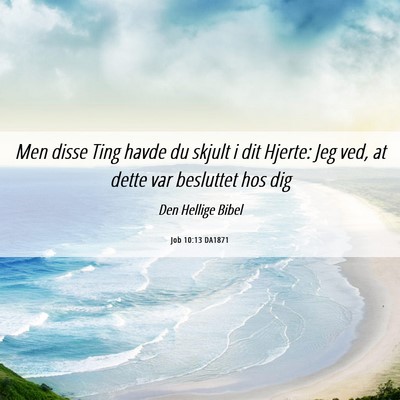 Picture 06 - Job 10:13 DA1871 - Men disse Ting havde du skjult i dit Hjerte: Jeg - Bible Verse Picture