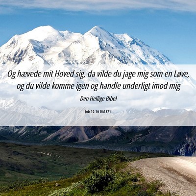 Picture 06 - Job 10:16 DA1871 - Og hævede mit Hoved sig, da vilde du jage mig - Bible Verse Picture