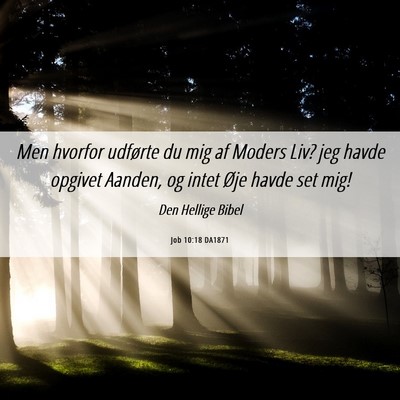 Picture 06 - Job 10:18 DA1871 - Men hvorfor udførte du mig af Moders Liv? jeg - Bible Verse Picture