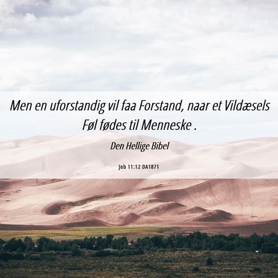 Picture 06 - Job 11:12 DA1871 - Men en uforstandig vil faa Forstand, naar et - Bible Verse Picture