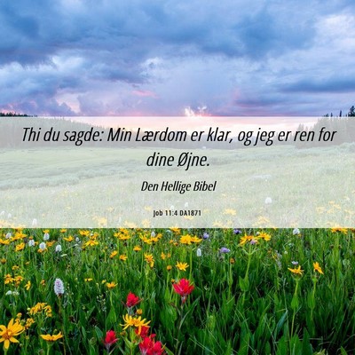 Picture 06 - Job 11:4 DA1871 - Thi du sagde: Min Lærdom er klar, og jeg er ren - Bible Verse Picture