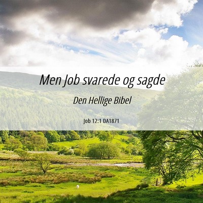 Picture 06 - Job 12:1 DA1871 - Men Job svarede og - Bible Verse Picture