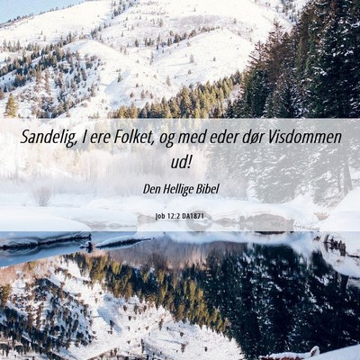 Picture 06 - Job 12:2 DA1871 - Sandelig, I ere Folket, og med eder dør - Bible Verse Picture