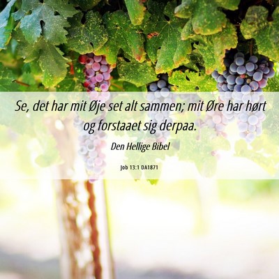 Picture 06 - Job 13:1 DA1871 - Se, det har mit Øje set alt sammen; mit Øre har - Bible Verse Picture