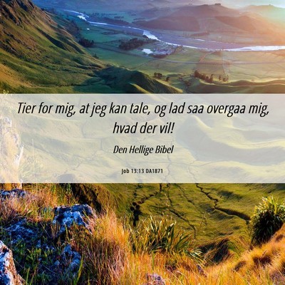 Picture 06 - Job 13:13 DA1871 - Tier for mig, at jeg kan tale, og lad saa overgaa - Bible Verse Picture