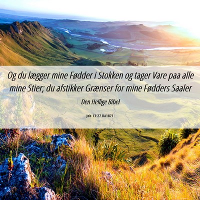 Picture 06 - Job 13:27 DA1871 - Og du lægger mine Fødder i Stokken og tager - Bible Verse Picture