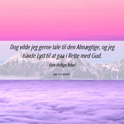 Picture 06 - Job 13:3 DA1871 - Dog vilde jeg gerne tale til den Almægtige, og - Bible Verse Picture