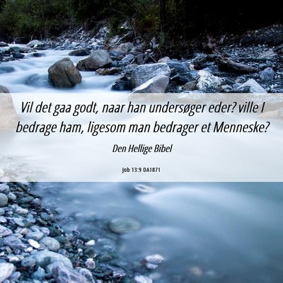 Picture 06 - Job 13:9 DA1871 - Vil det gaa godt, naar han undersøger eder? - Bible Verse Picture