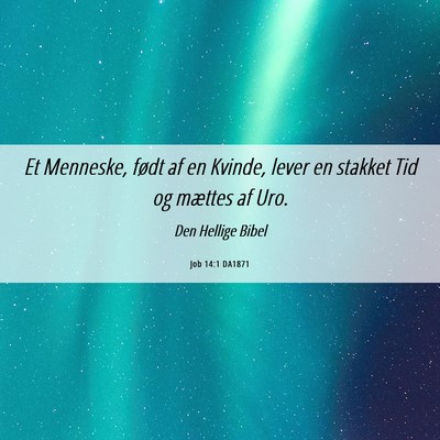 Picture 06 - Job 14:1 DA1871 - Et Menneske, født af en Kvinde, lever en stakket - Bible Verse Picture