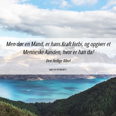 Picture 06 - Job 14:10 DA1871 - Men dør en Mand, er hans Kraft forbi, og opgiver - Bible Verse Picture