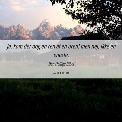 Picture 06 - Job 14:4 DA1871 - Ja, kom der dog en ren af en uren! men nej, ikke - Bible Verse Picture