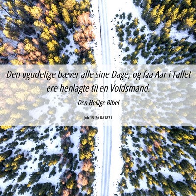 Picture 06 - Job 15:20 DA1871 - Den ugudelige bæver alle sine Dage, og faa Aar i - Bible Verse Picture