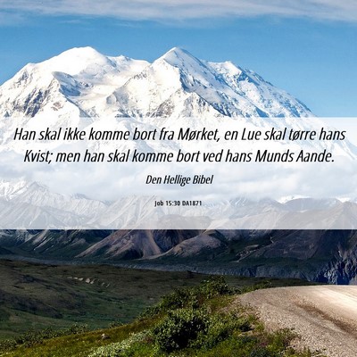 Picture 06 - Job 15:30 DA1871 - Han skal ikke komme bort fra Mørket, en Lue skal - Bible Verse Picture