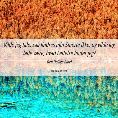 Picture 06 - Job 16:6 DA1871 - Vilde jeg tale, saa lindres min Smerte ikke; og - Bible Verse Picture